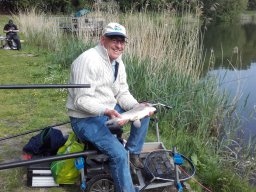 Competities HSV Alfheim